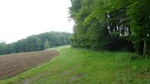  Blick auf die Wanderstrecke 